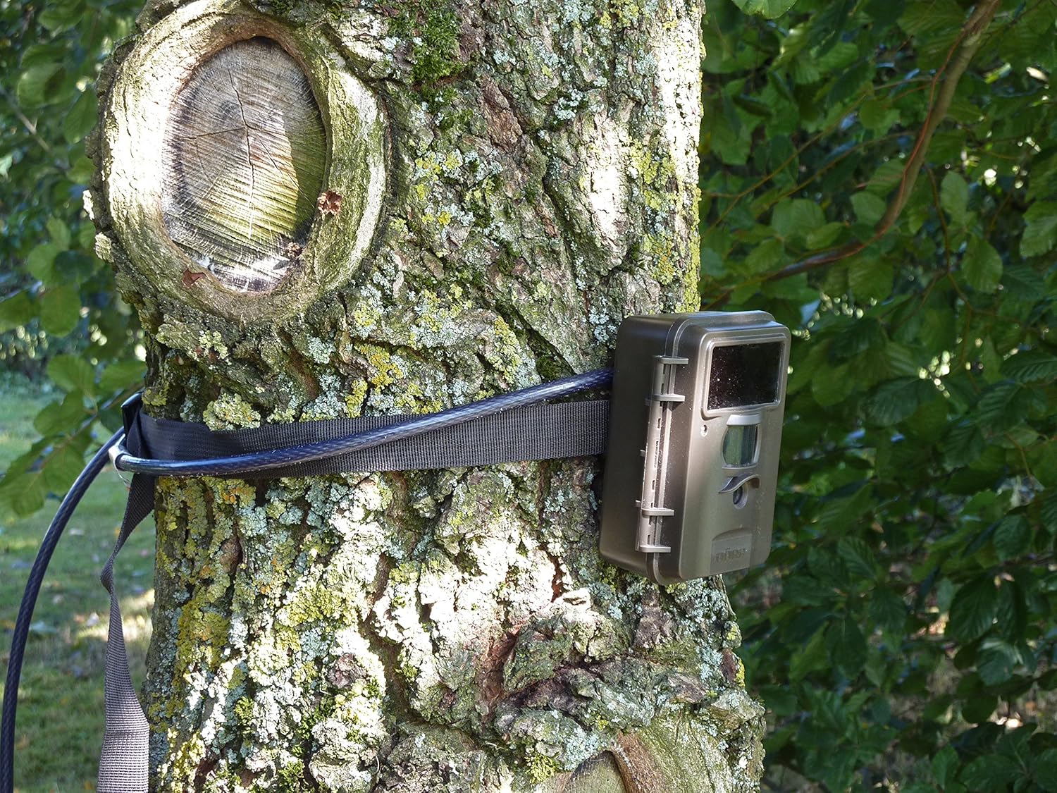Product box detailing technical specifications of the Dörr Snapshot Limited 5.0S camera.