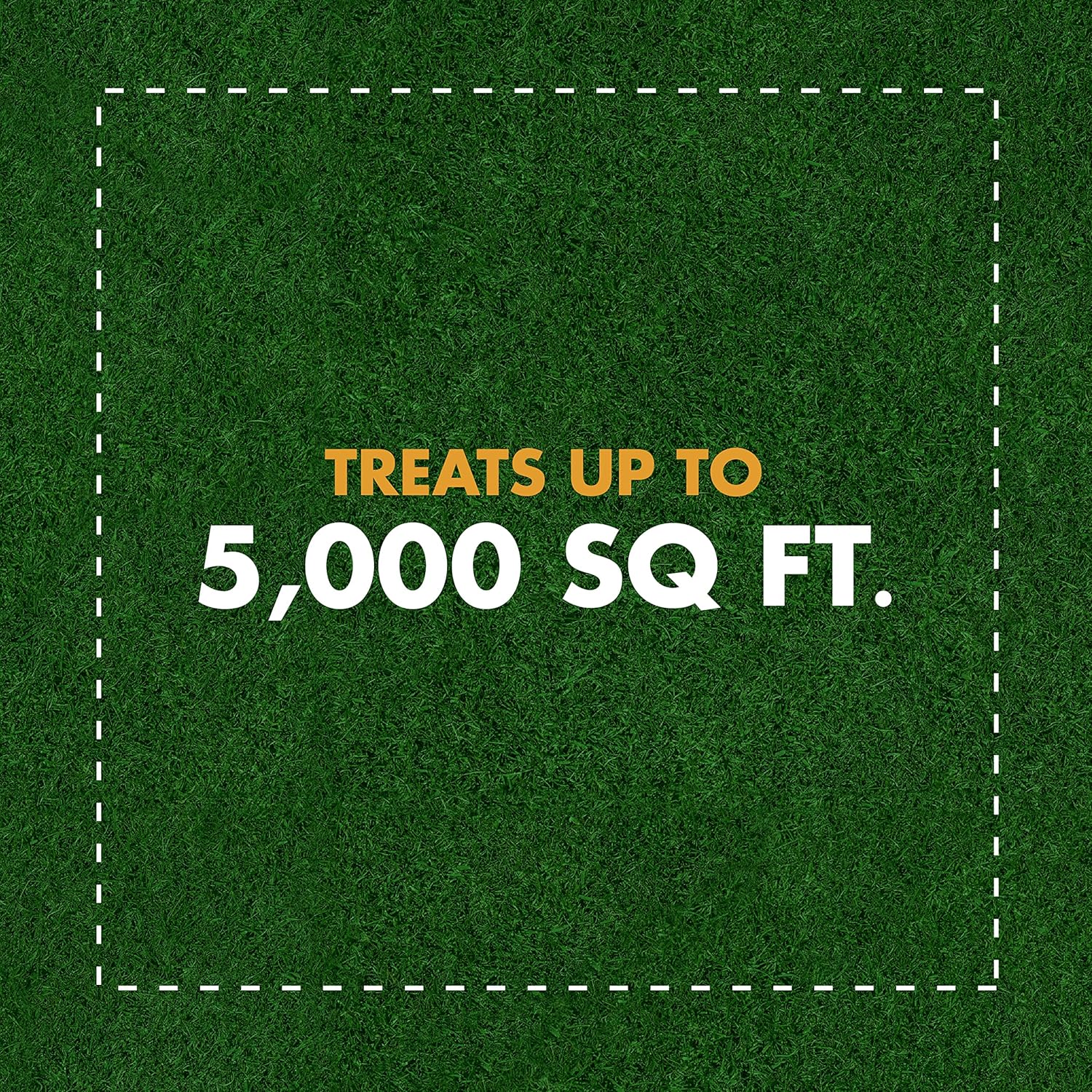 Spectracide Weed Stop For Lawns Plus Crabgrass Killer Concentrate 32 Ounces, QuickFlip Hose-End Sprayer : Patio, Lawn & Garden