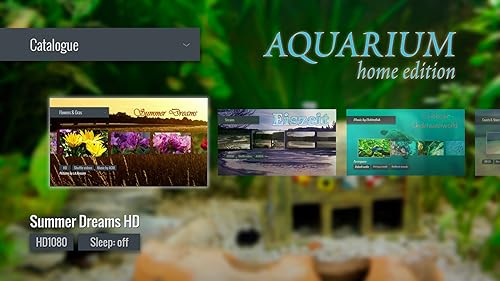Home Aquarium [1+ hour video & audio]