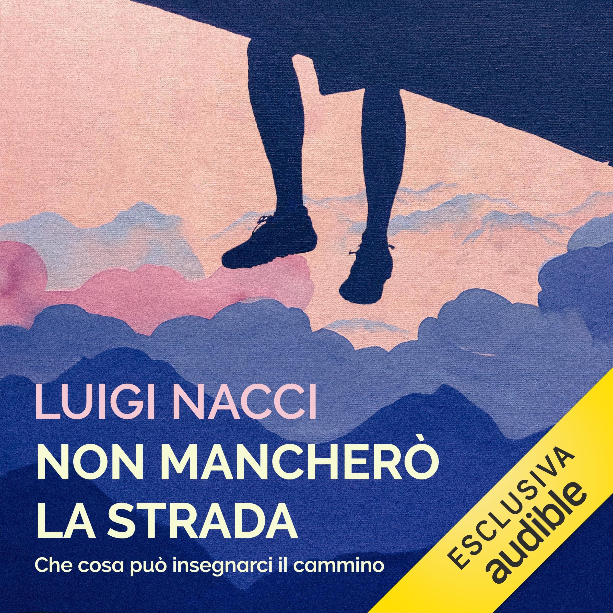 Non mancherò la strada: Che cosa può insegnarci il cammino