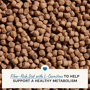 Open Farm, Healthy Weight Dog Food, Veterinarian Formulated High-Protein & Low-Calorie Dry Dog Food for Weight Management, Supports Metabolism & Mobility, Chicken & Whitefish Recipe, 22lb Bag