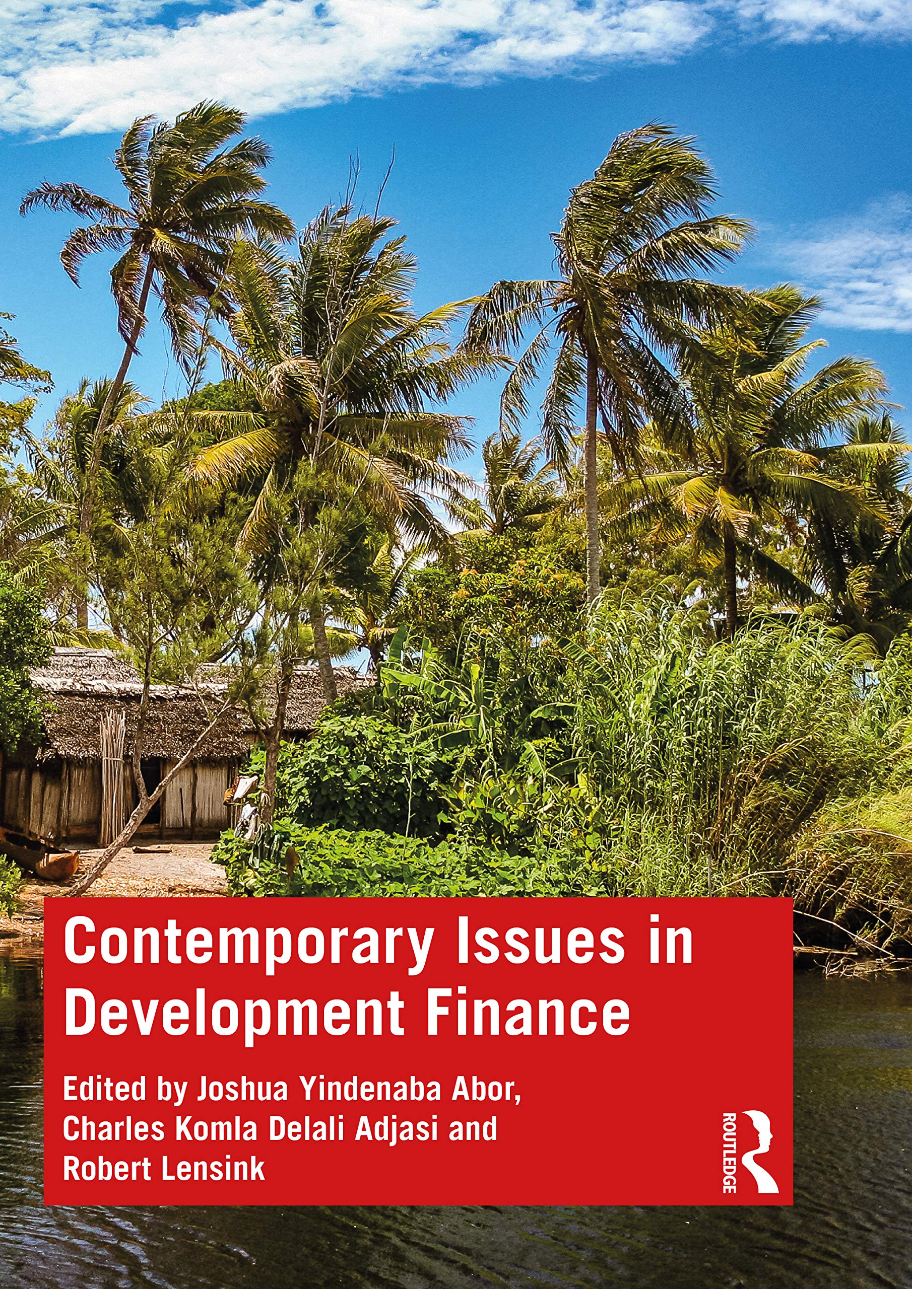 Contemporary Issues in Development Finance by Joshua Yindenaba Abor PAPERBACK