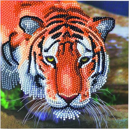 Craft Buddy Crystal Art Craft Kit Cck A40 Amazon De