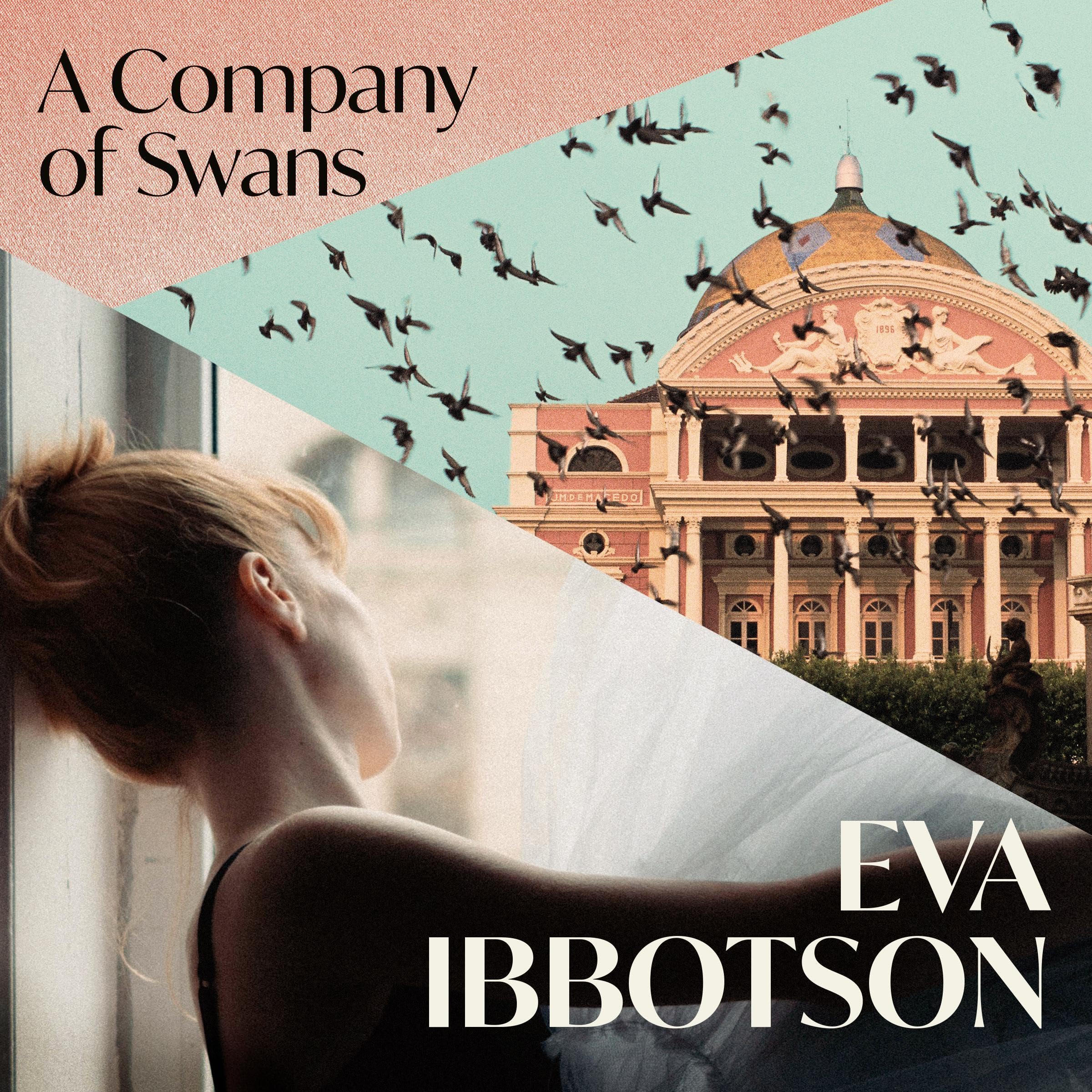 A Company of Swans