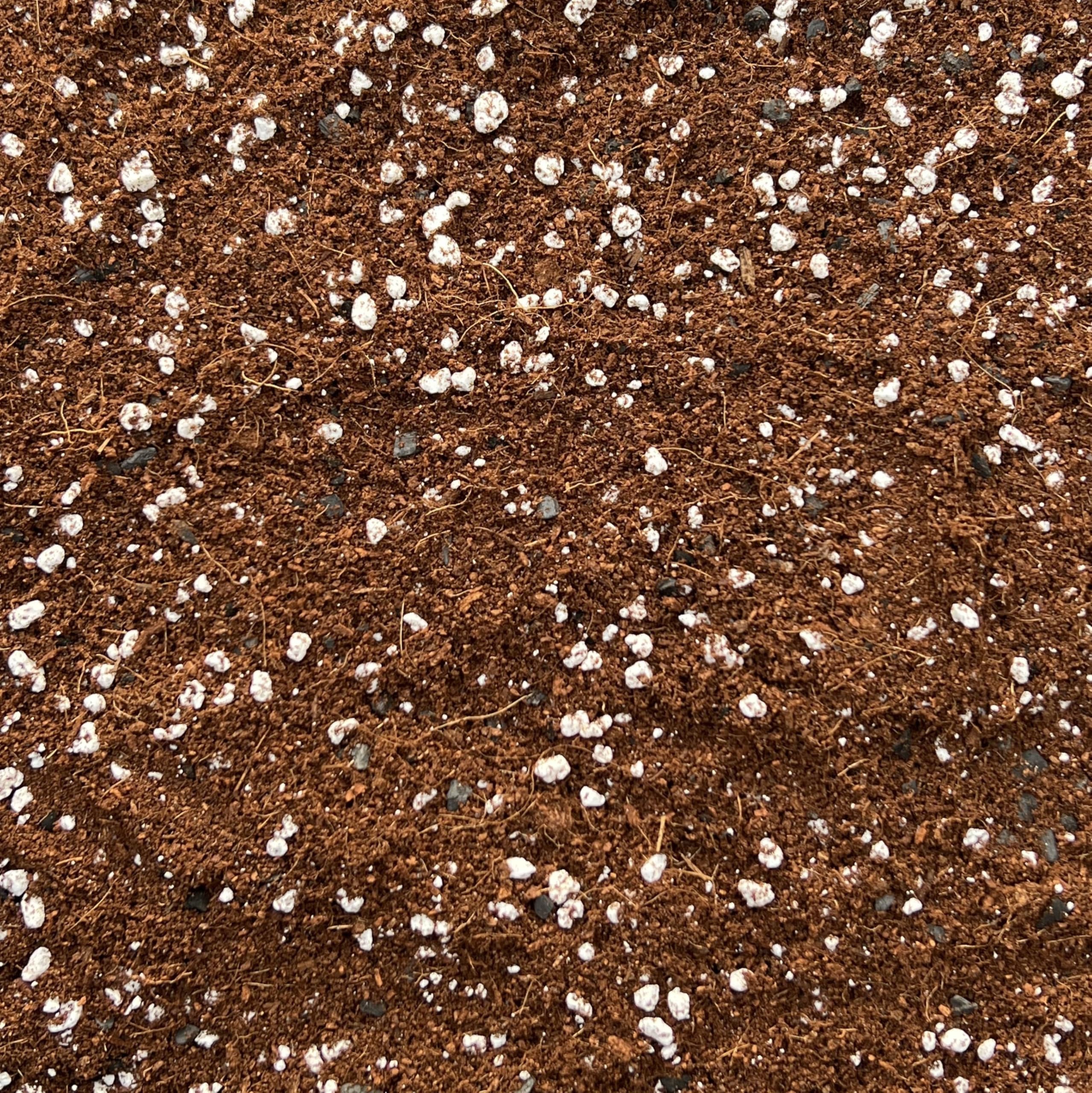 Terrarium Potting Mix with Perlite, Natural, 3L