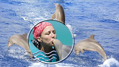 Moldura de fotos de golfinhos