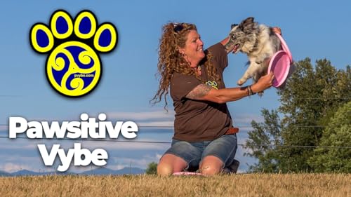 Pawsitive Vybe