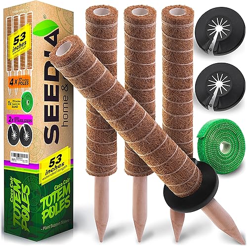 Poste de musgo de 4 x 17 pulgadas para plantas Monstera + estabilizadores  Estacas de 53 pulgadas para plantas de interior  Postes de musgo para disponible en Yaxa El Salvador