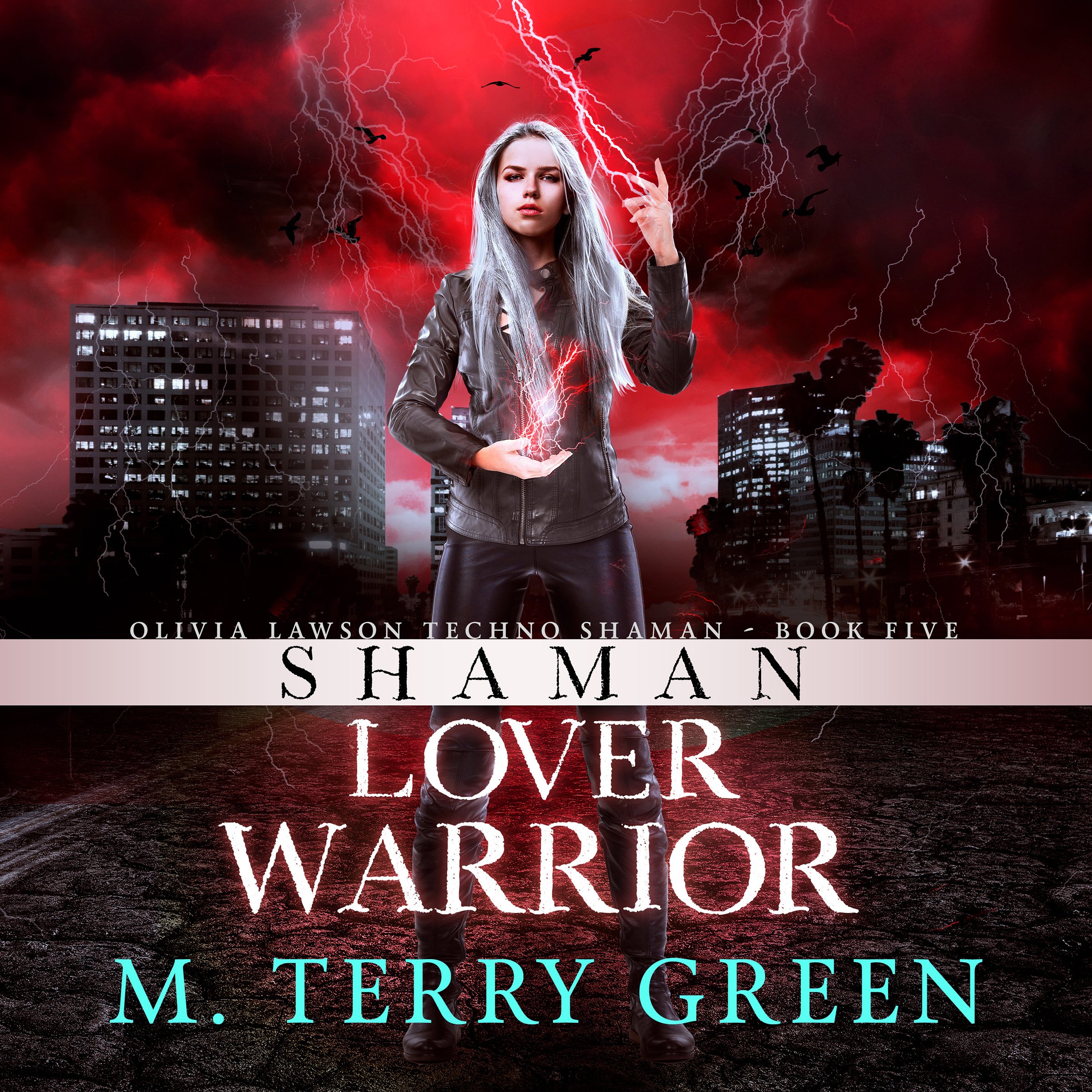 Cover art for Shaman, Lover, Warrior
