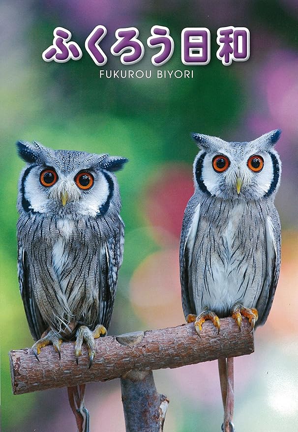 Amazon Co Jp ふくろう日和 Dvd Dvd ブルーレイ 掛川花鳥園 富士花鳥園のふくろうたち 加藤祐一