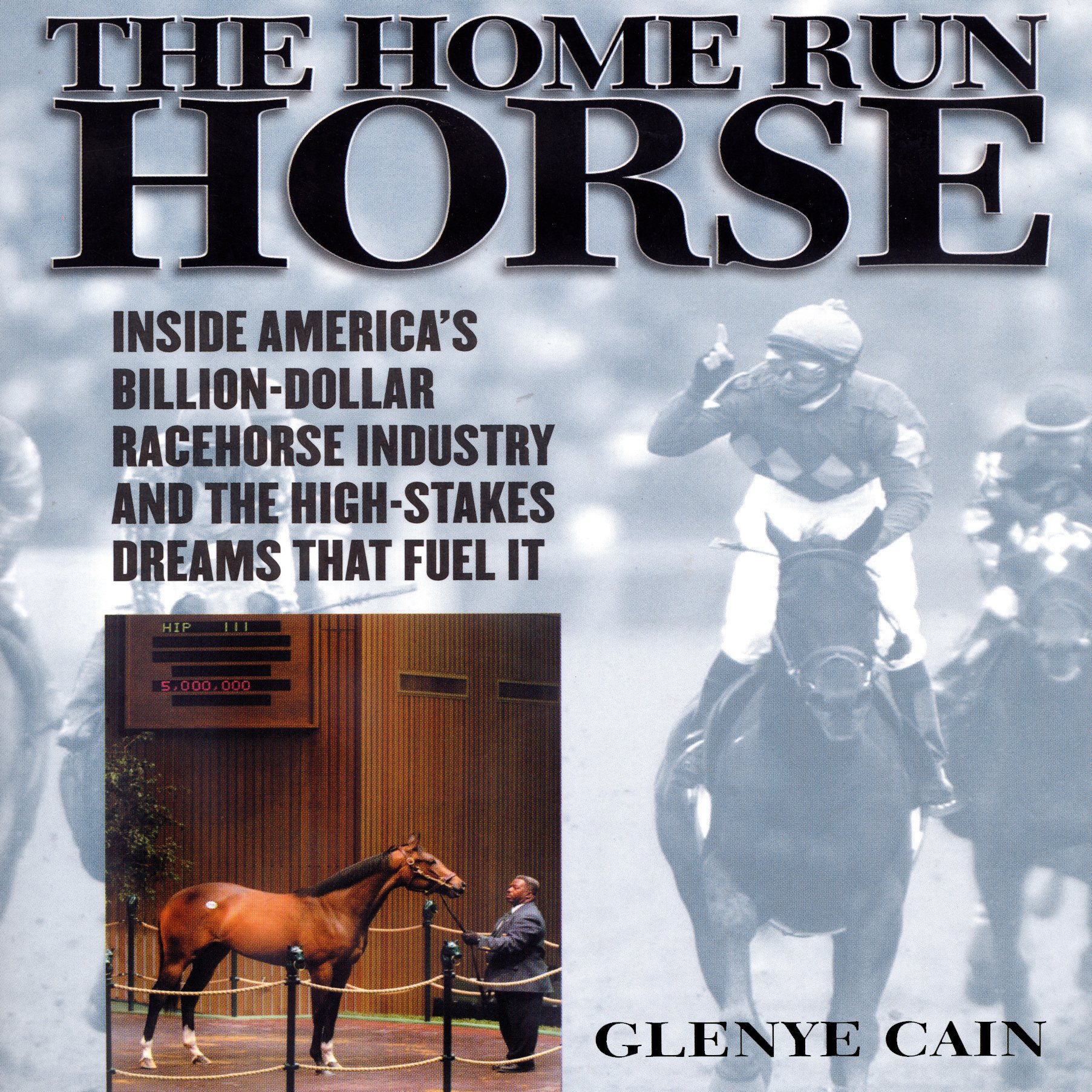Cover art for The Home Run Horse