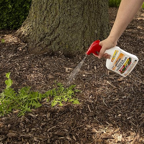 Miniatura 9 de Spectracide Herbicida y hierba de 32 onzas uso en patios pasarelas y entradas