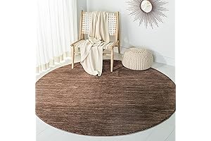 Gorgeous Brown Round Rug: SAFAVIEH Vision Collection 4' Round Brown VSN606E Modern Ombre