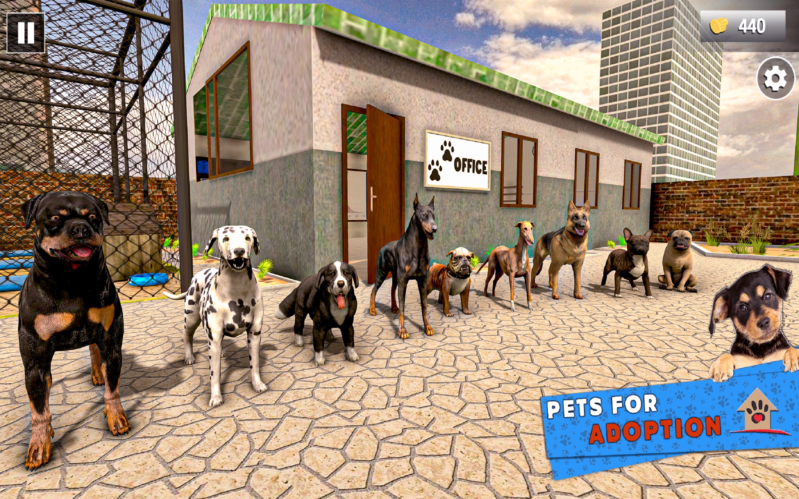 Animal Shelter Games Cats and Dogs Pet Simulator App on the Amazon