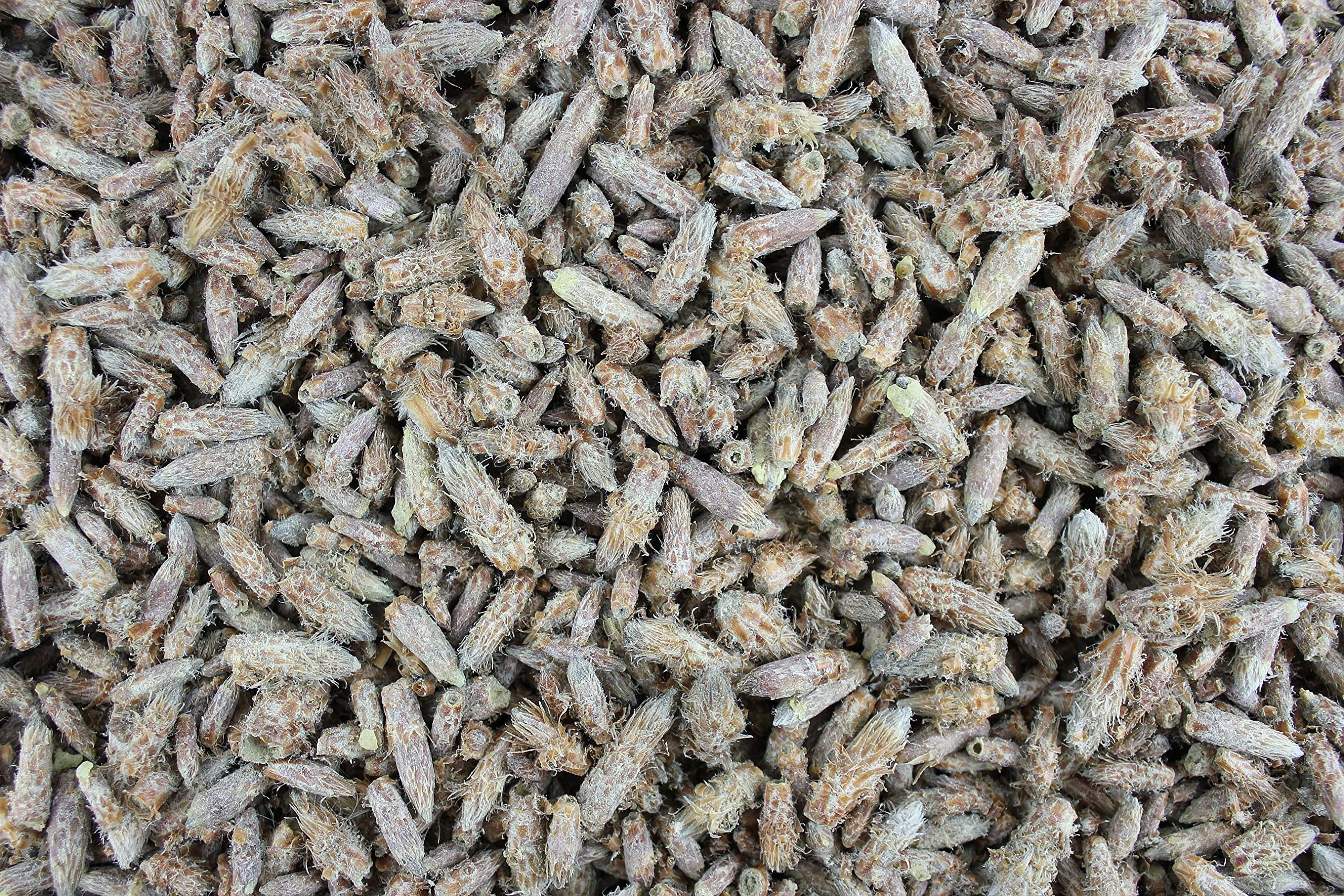 1000Kräuter Kiefernsprossen ganz Kiefernknospen Kräutertee Tee (2000g)