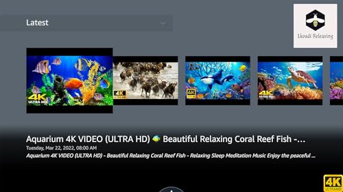 Aquário 4K VIDEO (ULTRA HD)
