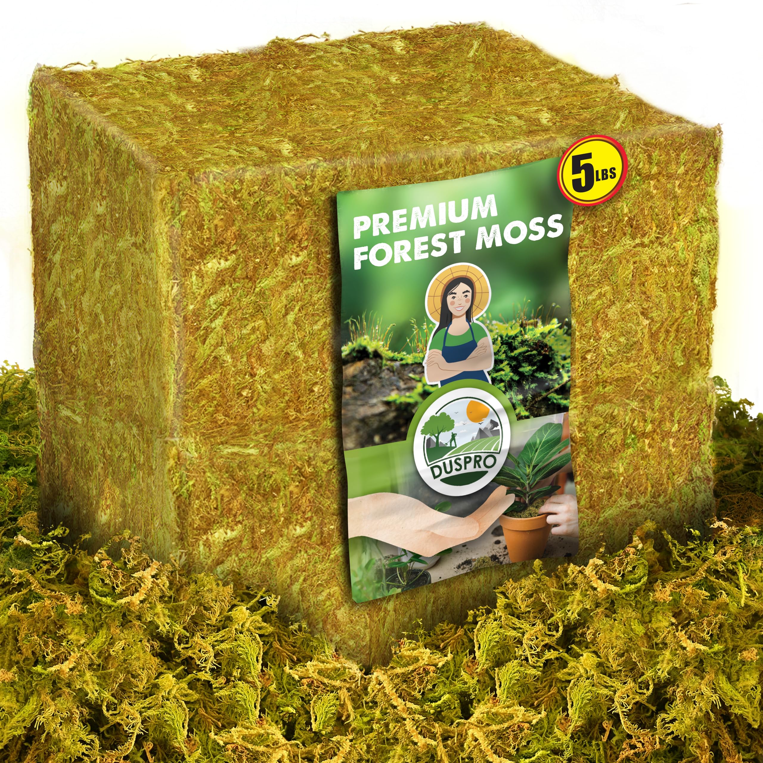 Amazon.com : DUSPRO 5 LBS Big Bag Dried Forest Moss for Plant