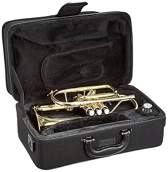 す*ぎ様 ★ジャンク 現状品★ ソプラノコルネット E♭コルネット lafleu す*ぎ様 ☆ジャンク 現状品☆ ソプラノコルネット E♭コルネット