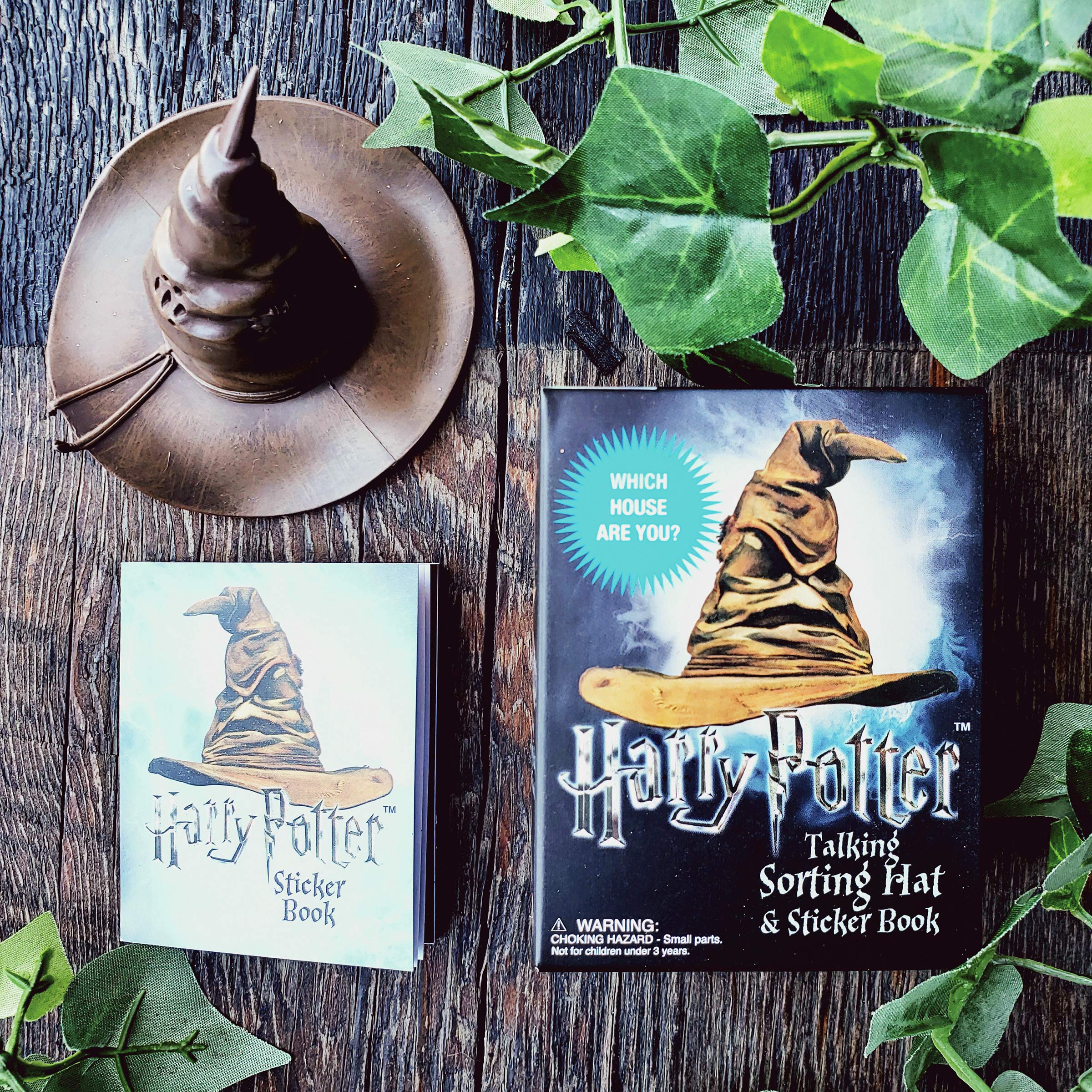 Harry Potter Talking Sorting Hat and Sticker Book: Which House Are You?