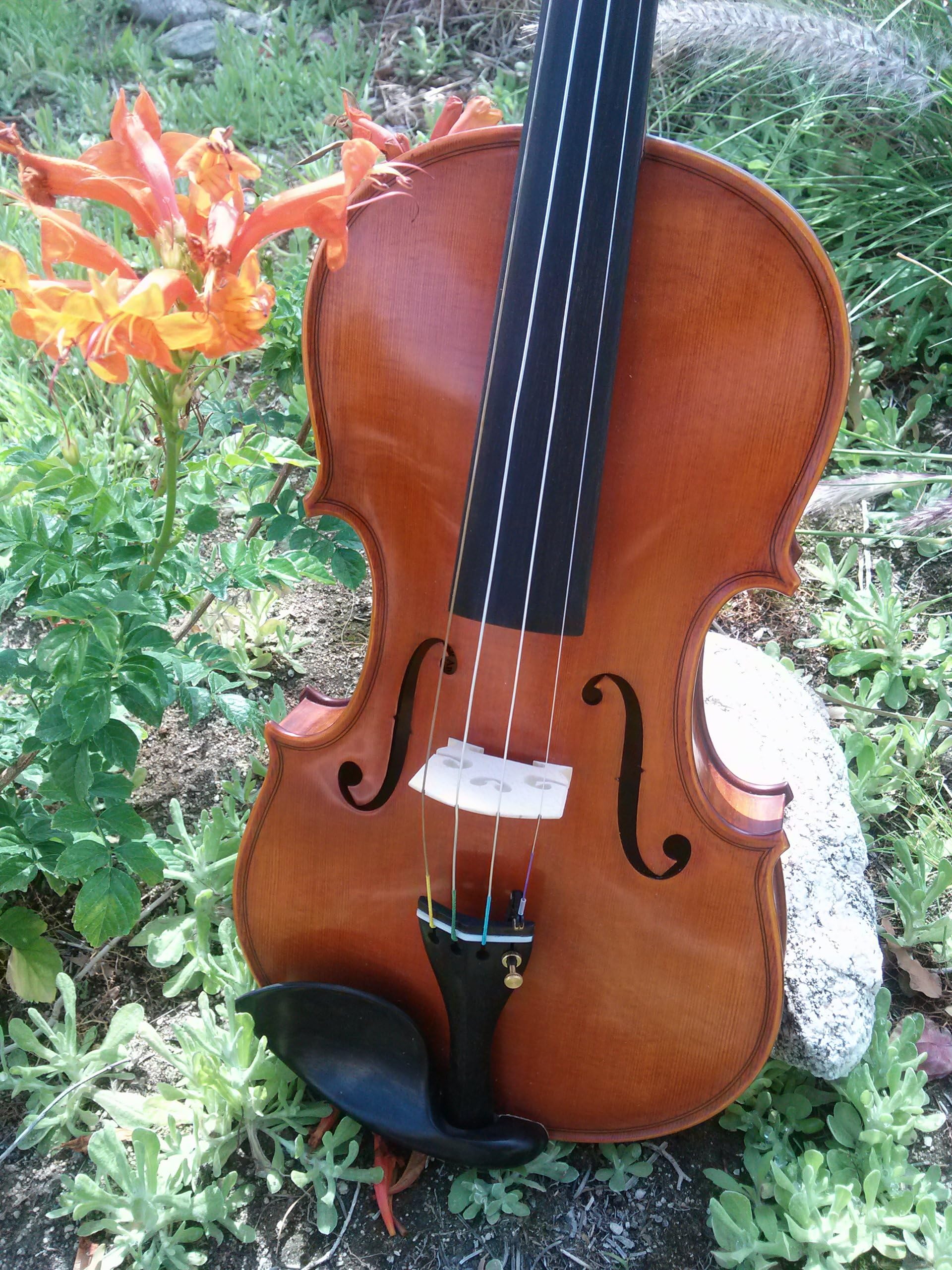 Gliga Gama Ii Violin 4/4, Violin Only