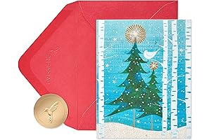 Papyrus Peace and Happiness Snowbird Christmas Cards (20-Count)