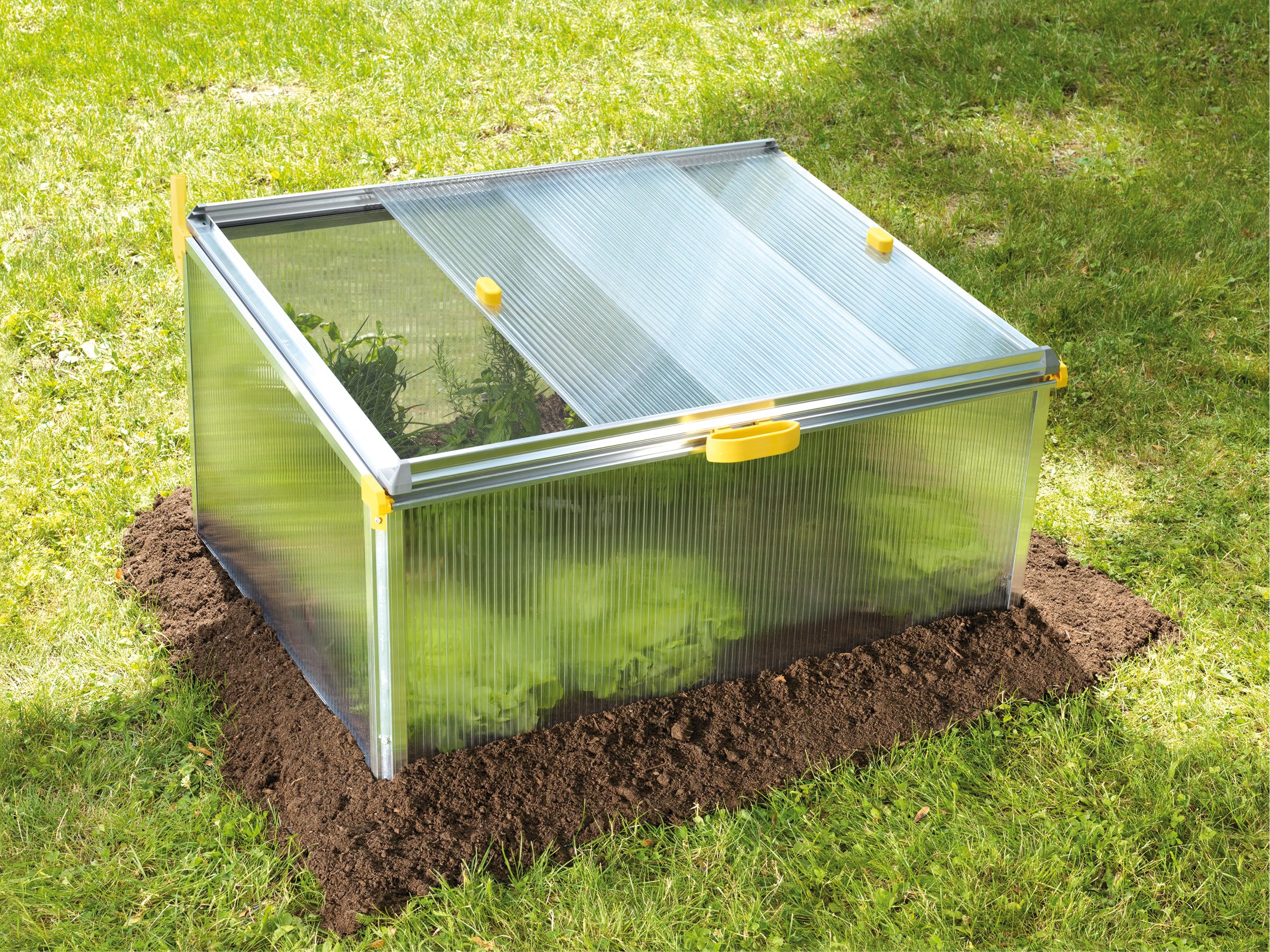 JUWEL 20151 Bio Star Protect 1000 Serre prématurée (récoltes Riches, microkilomètres idéaux, protégées, Dimensions : 100 x 75 x 50 cm)