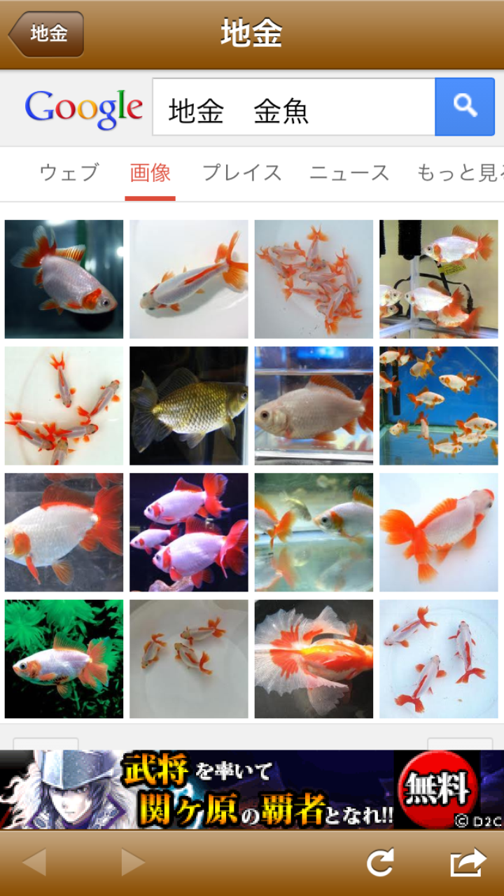 きんぎょページ 日本金魚図鑑-Japanese Goldfish- - Amazon 應用程式商店上的