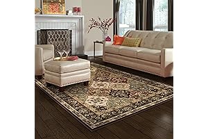 Superior Indoor Area Rug: Timeless Elegance for Enhanced Aesthetics