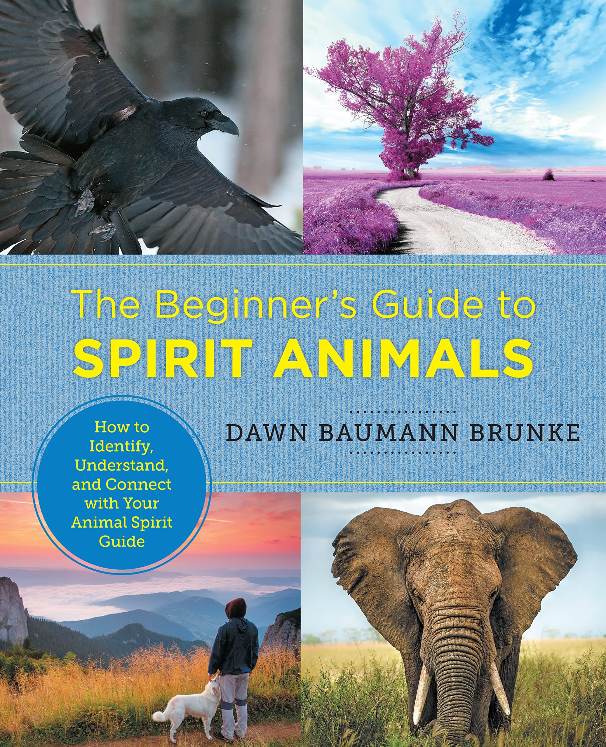 Beginner's Guide to Spirit Animals: How to Iden. Brunke**