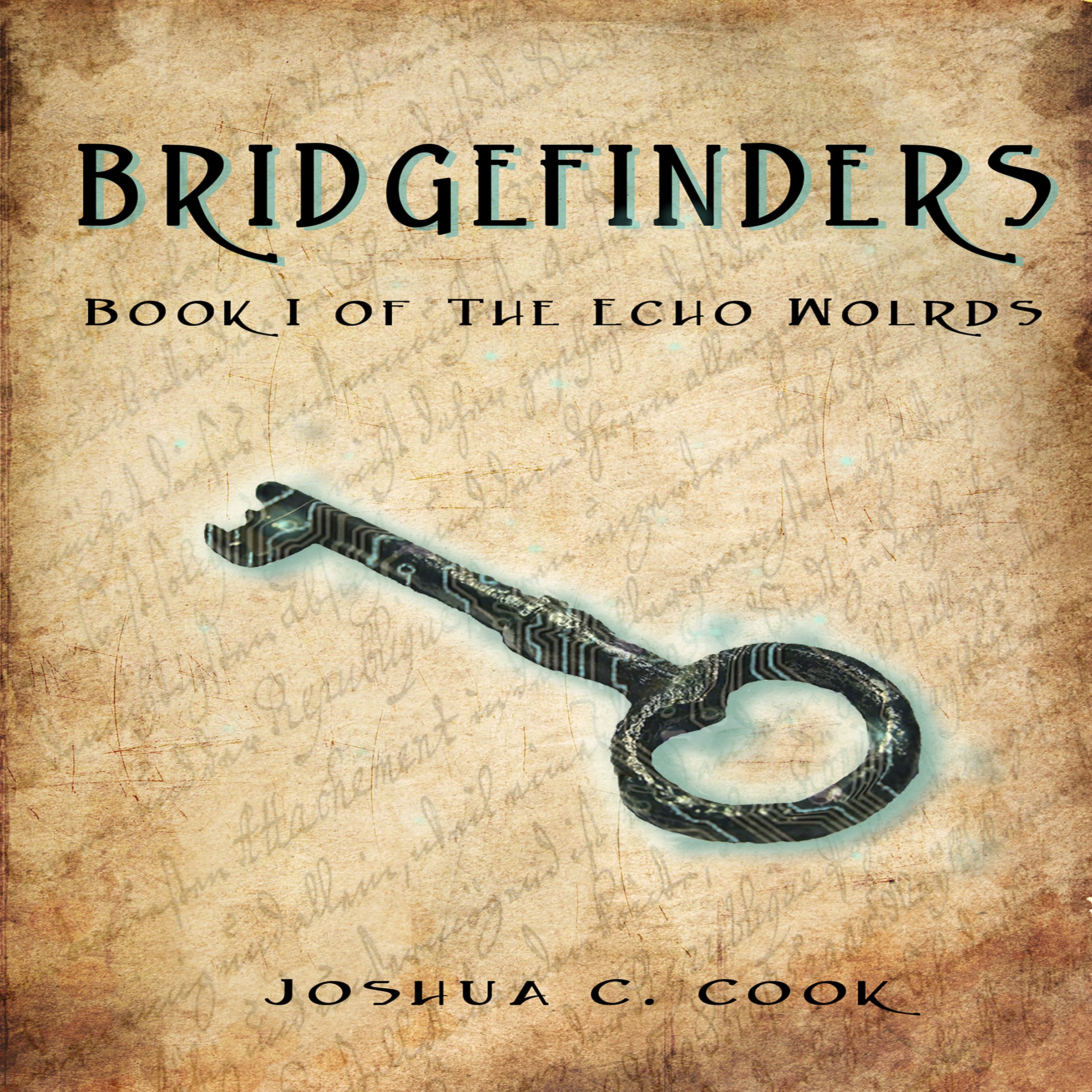 Cover art for Bridgefinders