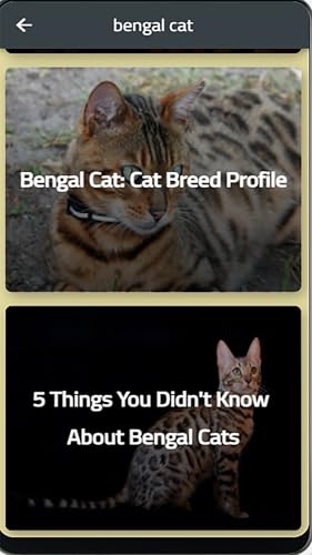 bengal cat