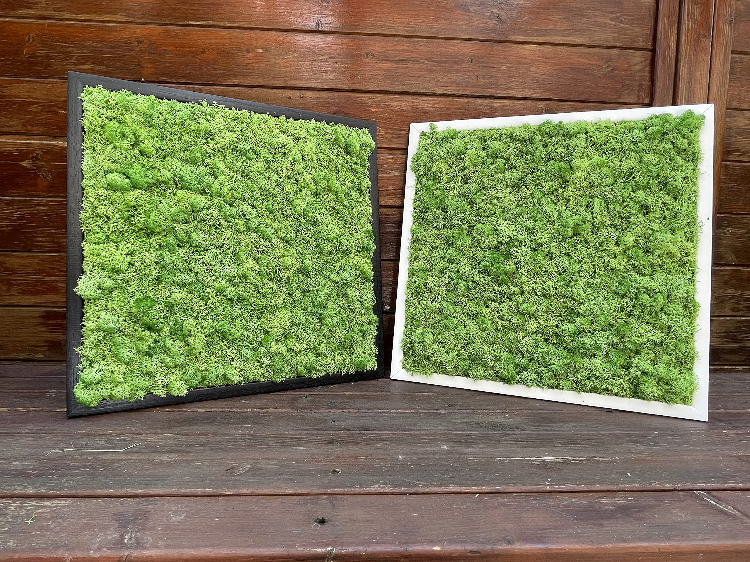 Quadro in Muschio Stabilizzato (70x70cm, Verde Prato) cm, Lichene Premium - Cornice in Legno Rinforzato, Ecologico e Senza Manutenzione - Durata Oltre 10 Anni, Decorazione Naturale per Casa e Ufficio
