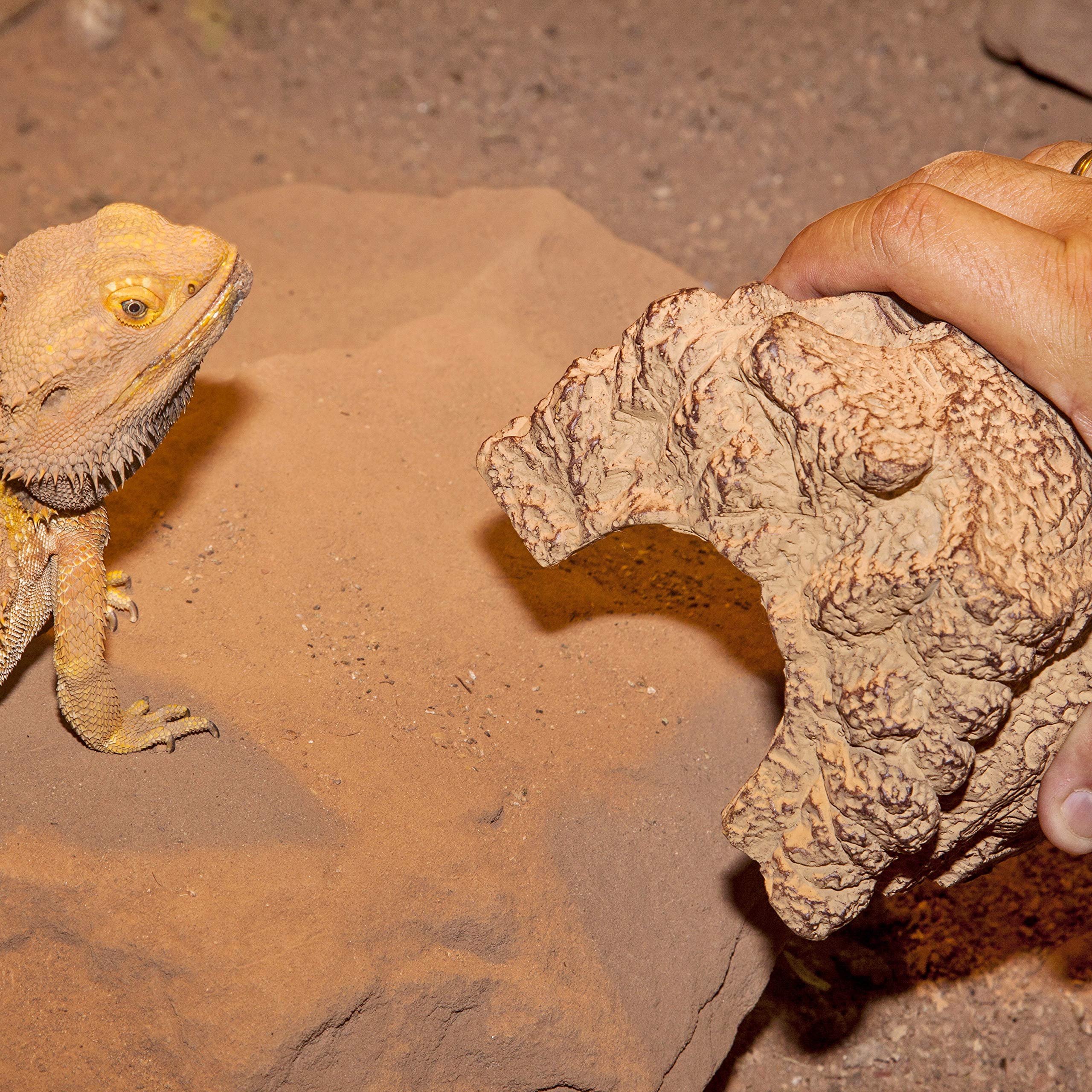 JBL ReptilCava 71097 Höhle für Terrarientiere, M, sand - 4