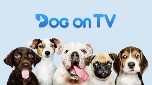 Dog on TV