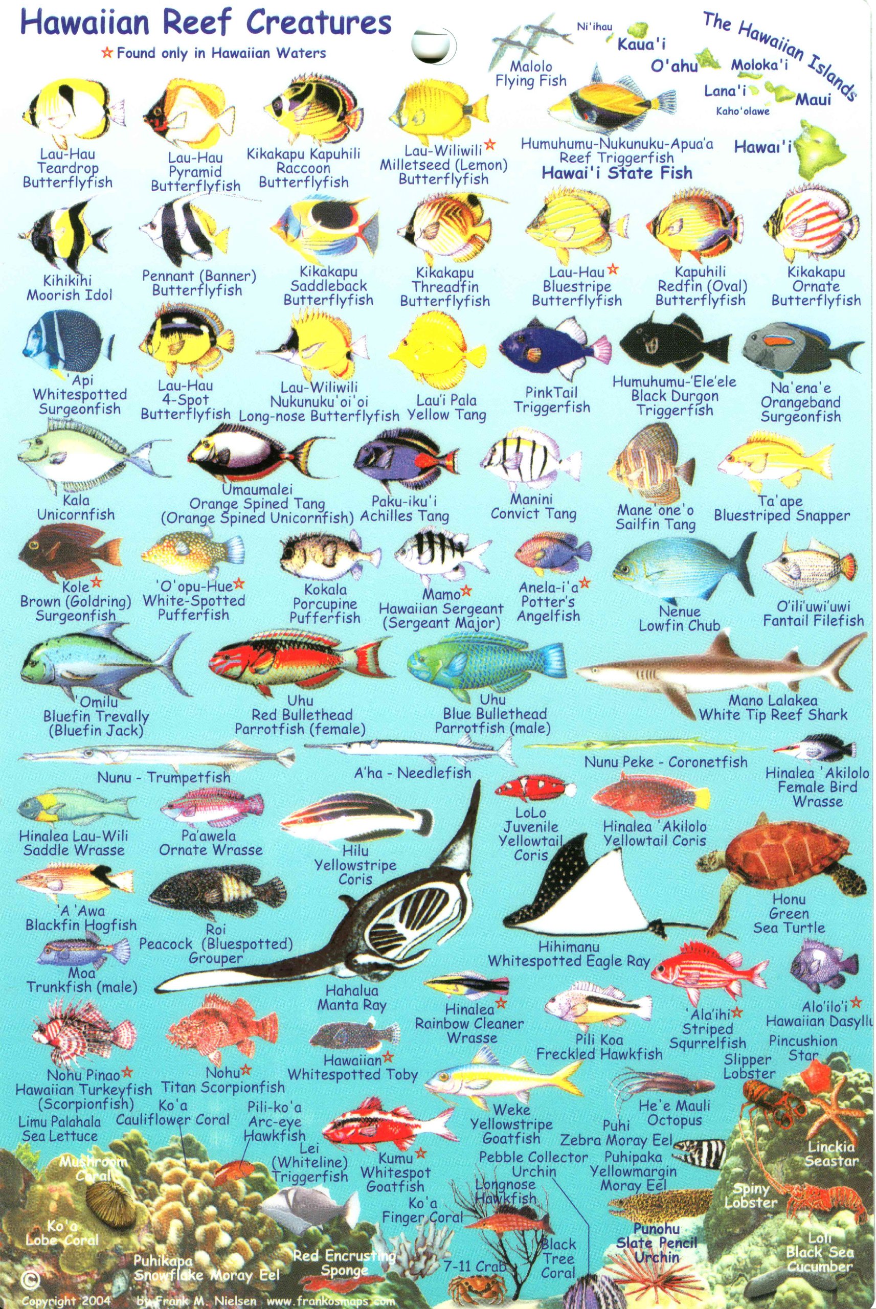 Oahu Fish Card Franko Maps Waterproof Card