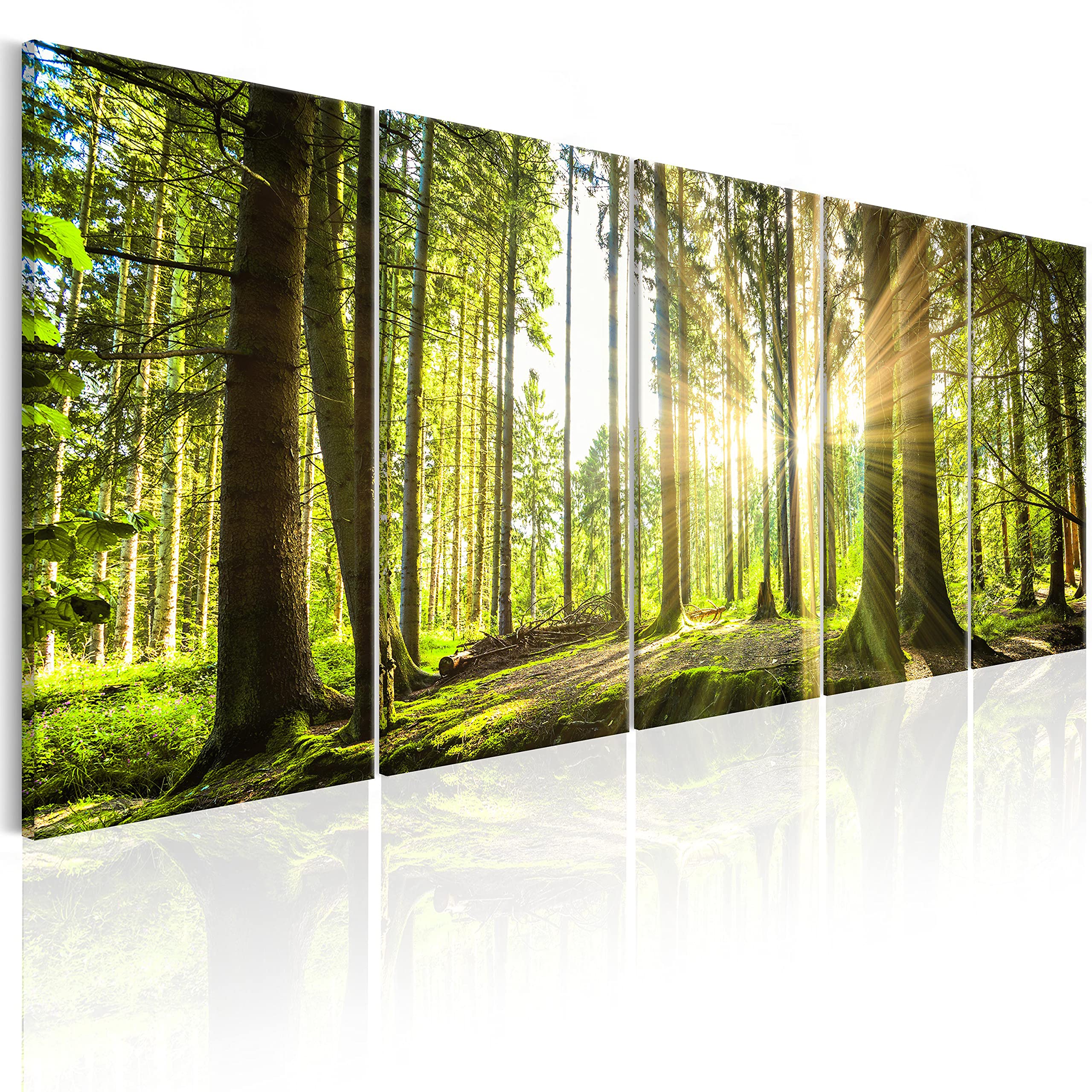 B&D XXL - Leinwandbild Landschaften Natur, 100x40 cm, 5-teilig, Wohnzimmer | Hochwertige Leinwand, sofort aufhängbar, ideal fürs Wohn- oder Schlafzimmer, wasserfest und lichtecht, langlebig, stilvoll