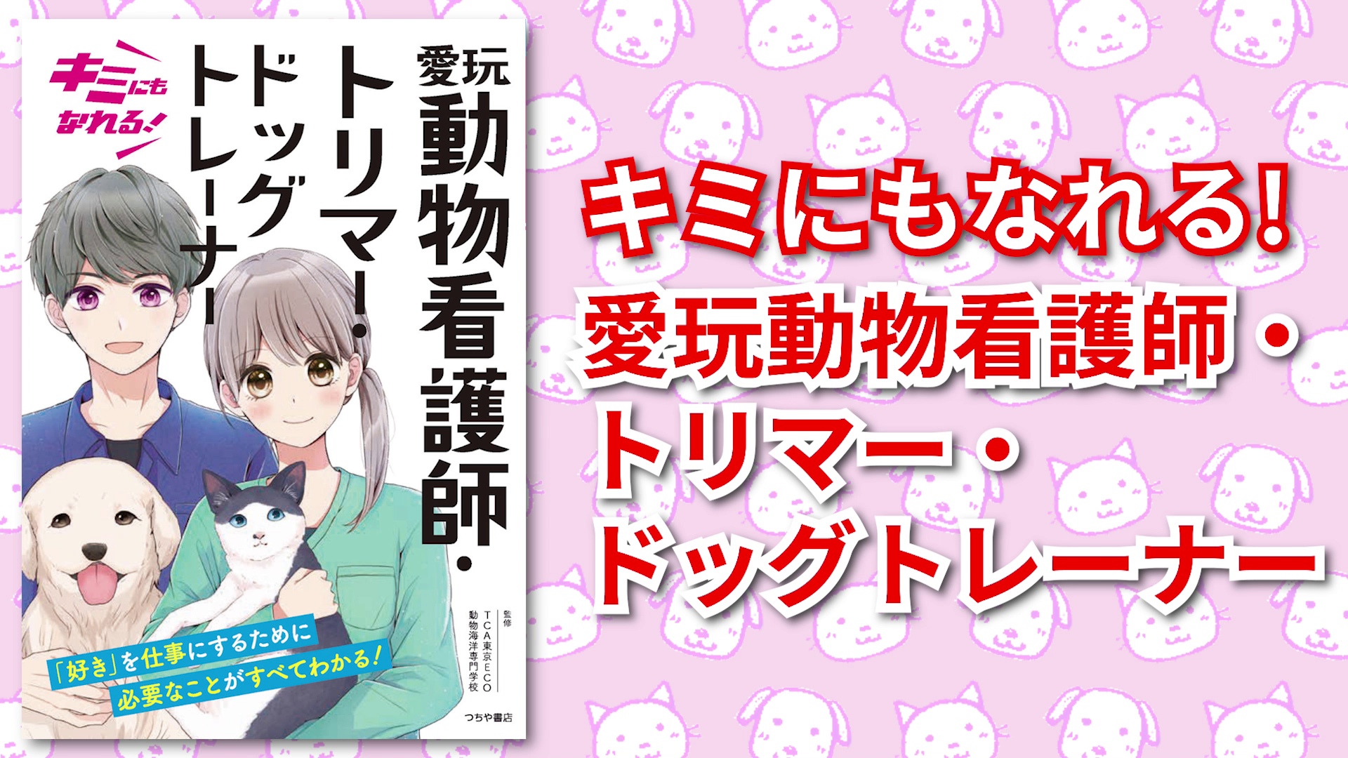 キミにもなれる! 愛玩動物看護師・トリマー・ドッグトレーナー | TCA