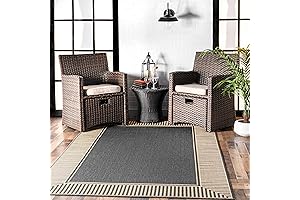 nuLOOM 4' x 6' Outdoor Area Rug: An Oasis of Durability and...