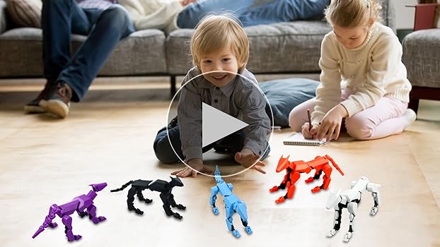 MｏDERN TｏYS製　SＩLVER PET Amazon.com: (Assembly Completed) Titan13 Action Figure Set