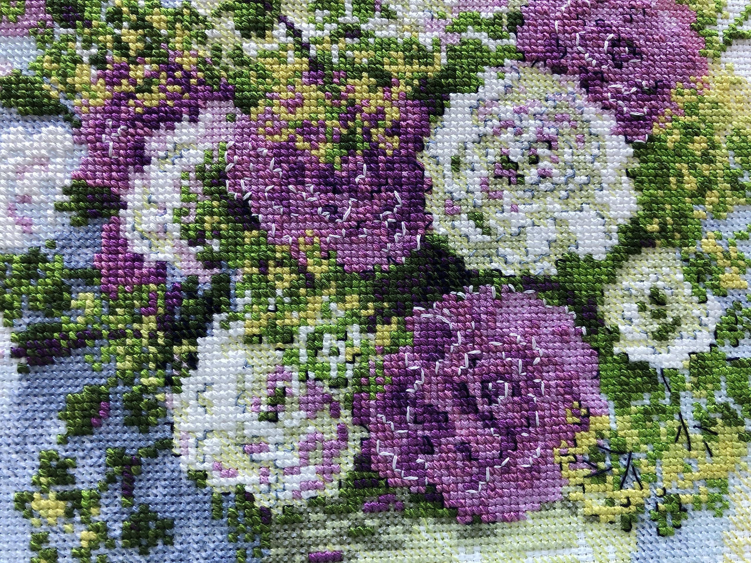 RIOLIS 1846 - Kit de punto de cruz (28 x 113 cm), diseño de ojales de acuarela de 14 hilos, color blanco