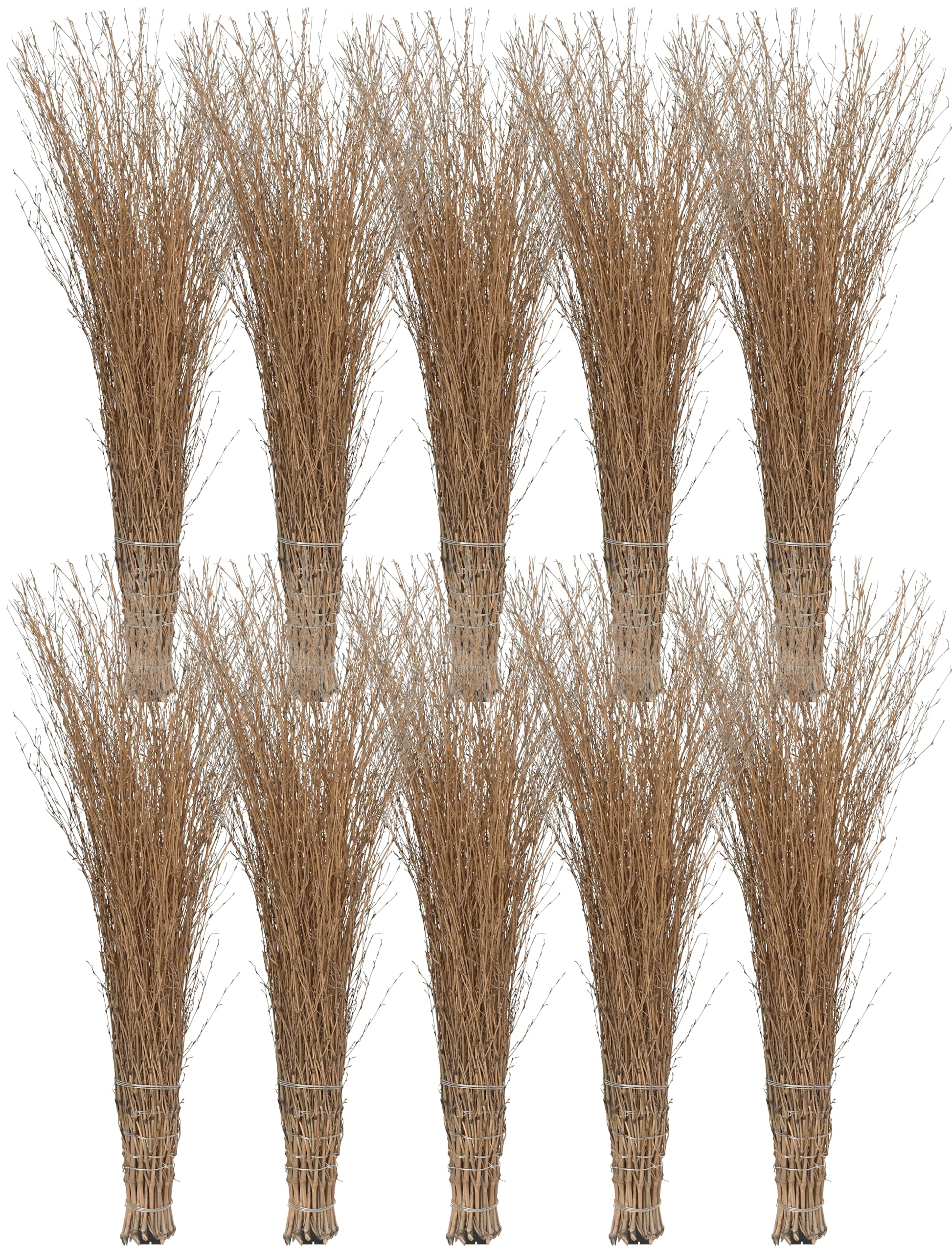 Bambusbesen Spar Set - Stallbesen aus Bambusreisig - Reisigbesen mit Kunststoff-Stielaufnahme - Strauchbesen, Hexenbesen, Reiserbesen - Kehrbesen für Haus & Garten - 10 Stück