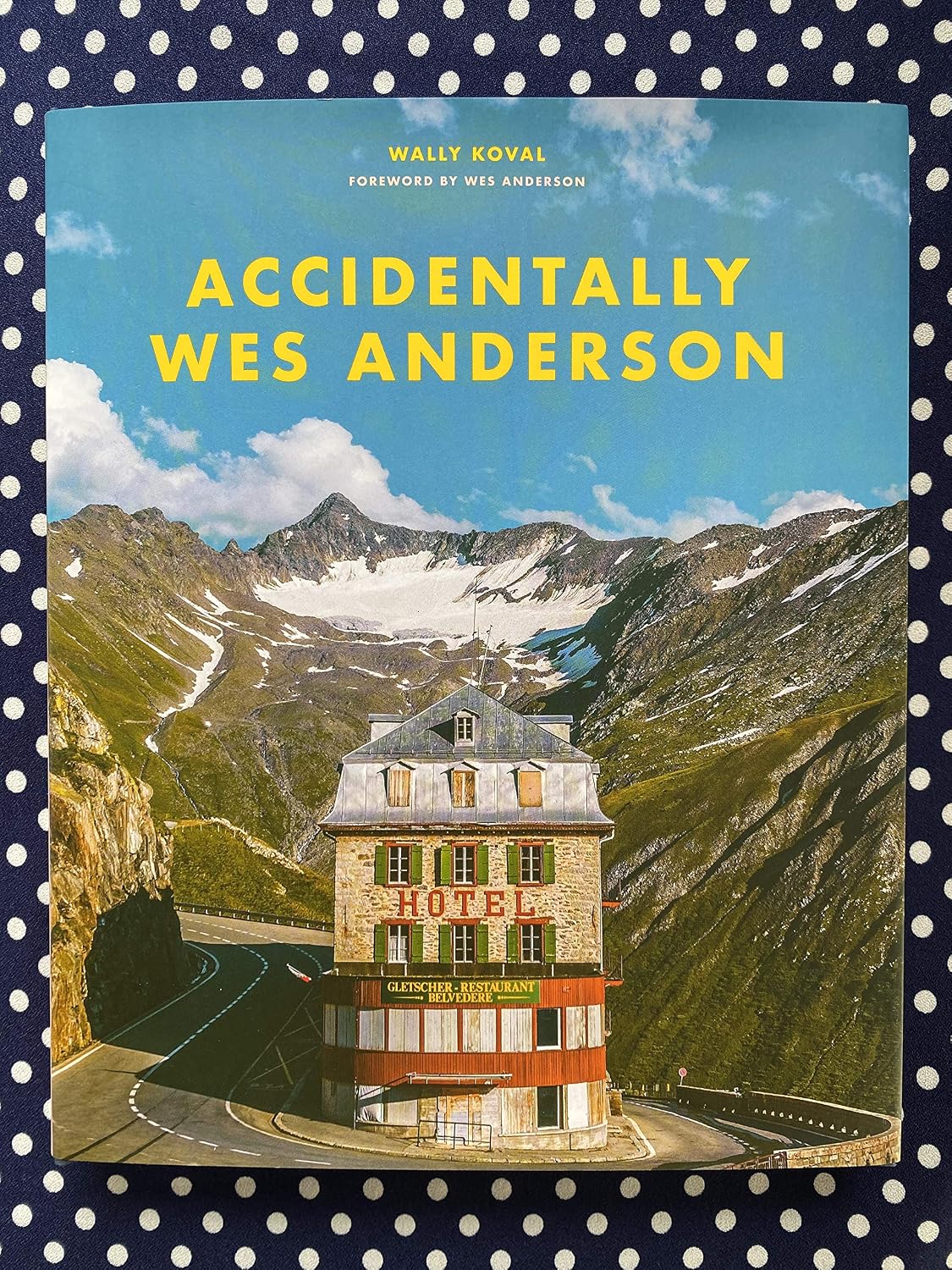 Accidentally Wes Anderson
