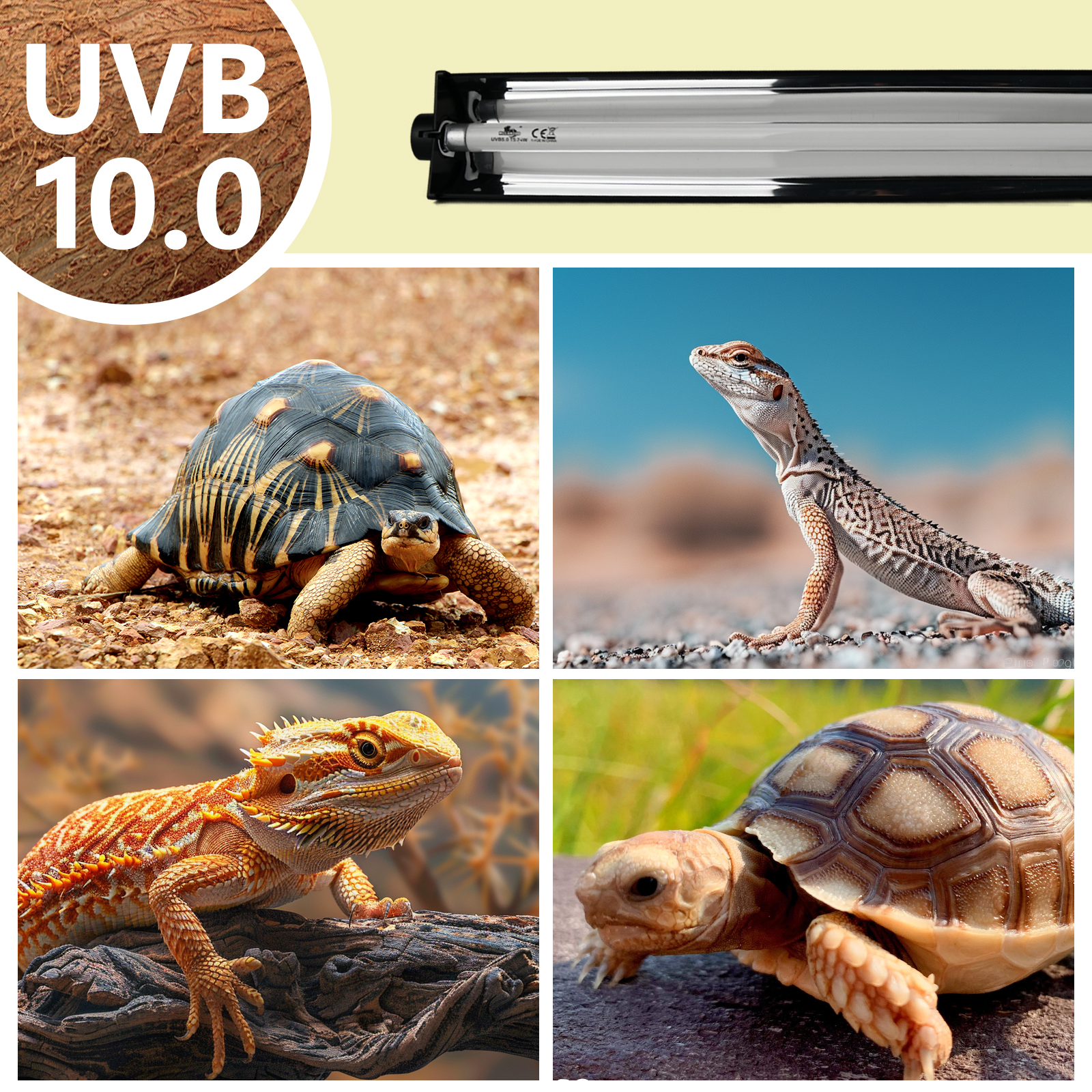 T5 UVB Lighting Combo Kit for Reptiles,8W Light Fixture with Desert 5.0 T5 UVB Light Bulbs Terrarium Hood Heat Lamp for Breaded Dragon,Turtle,Frog,Lizard,Tortoise,Gecko,Snake - image 8