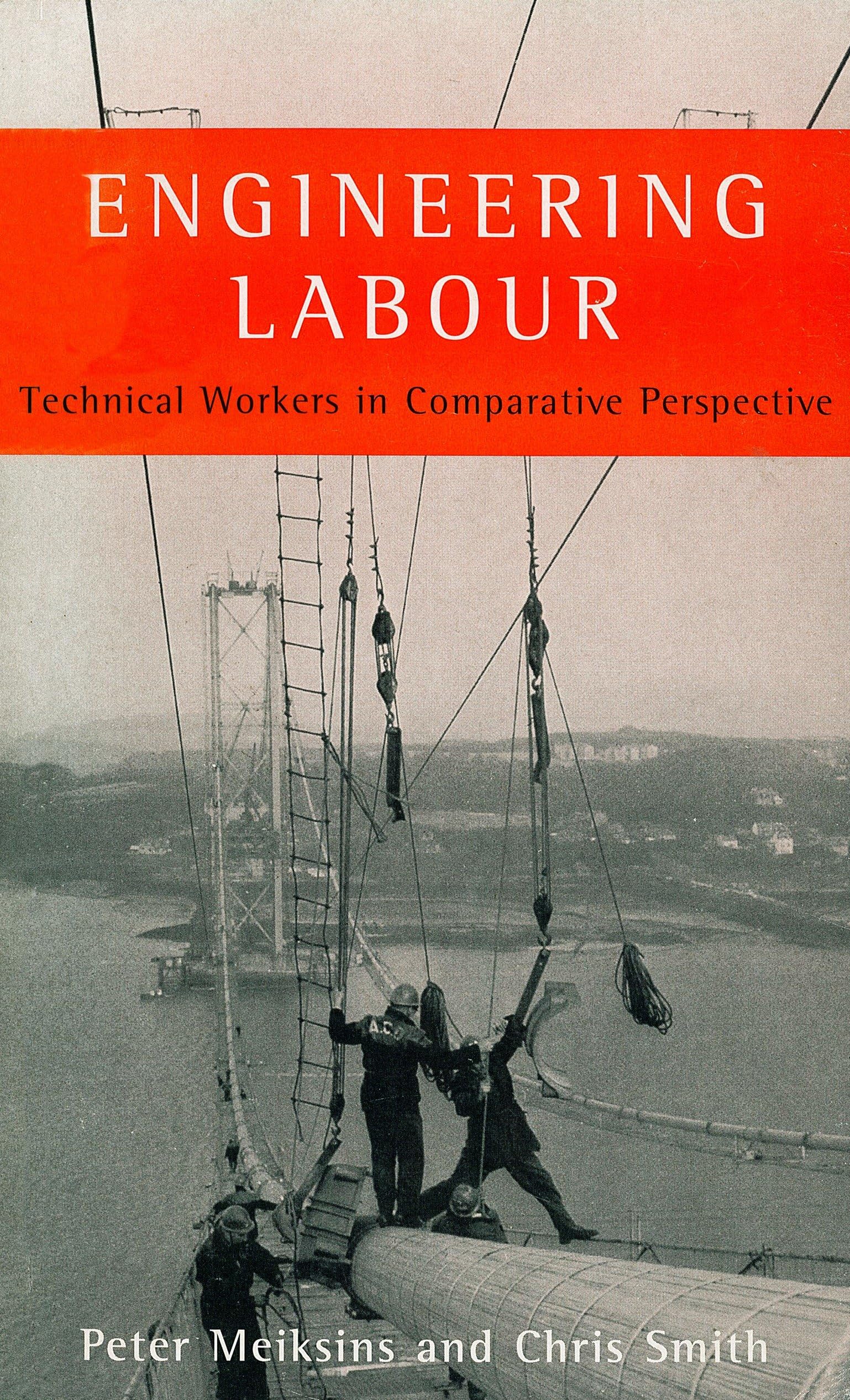 Engineering Labour: Technical Workers in Comparative Perspective (The Real Utopias Project)