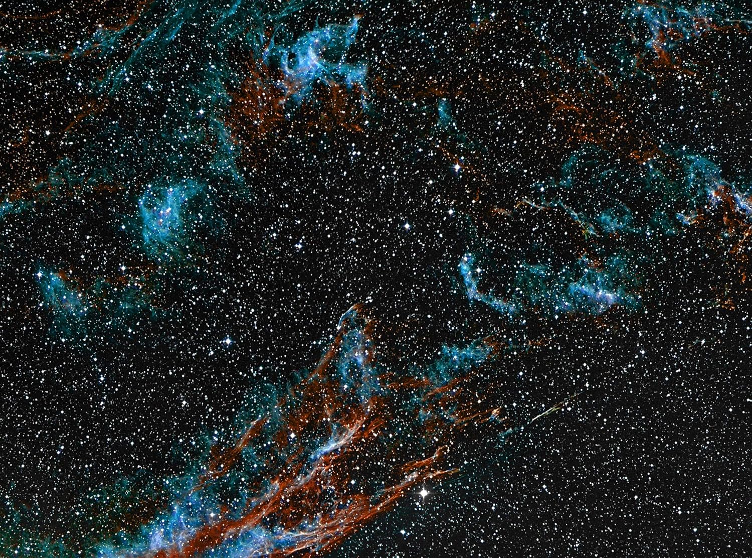 Miller Engineering HS-37 120 Color Film for Most 220 Format Cameras