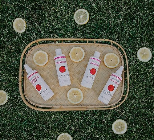 Miniatura 10 de Spray de menta para prevención de piojos, grande, 16 onzas, ingredientes naturales, altamente efectivo, uso diario