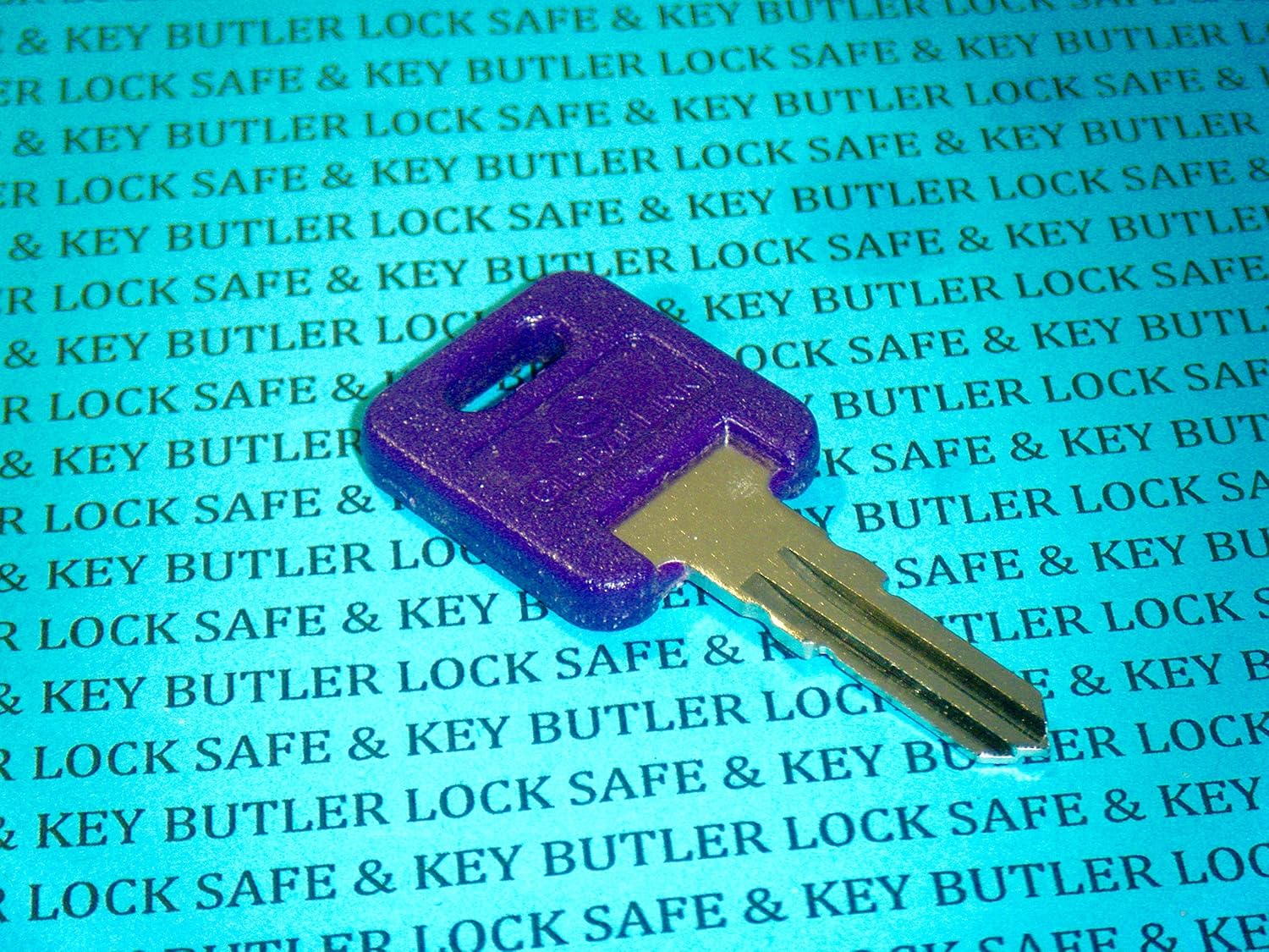 Global Link G313 RVs Motorhome Trailer Key Cut to Key/Lock