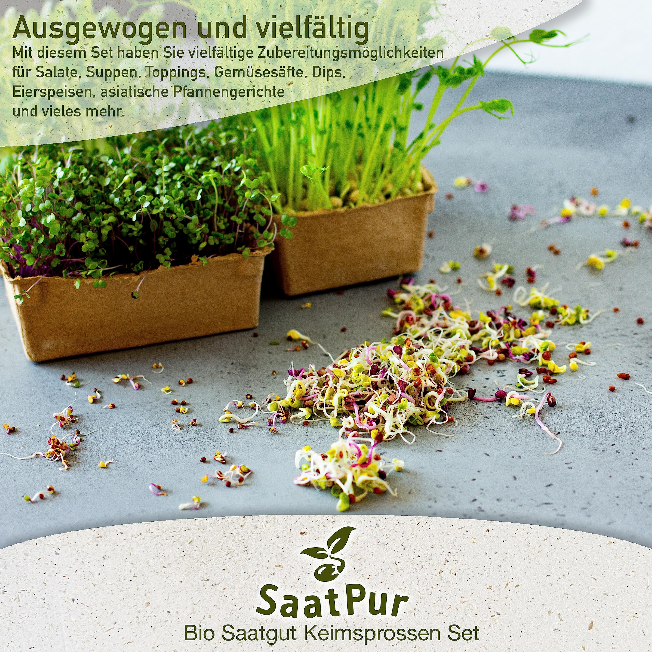 SaatPur Bio Keimsprossen Set - 12 Sorten Microgreens