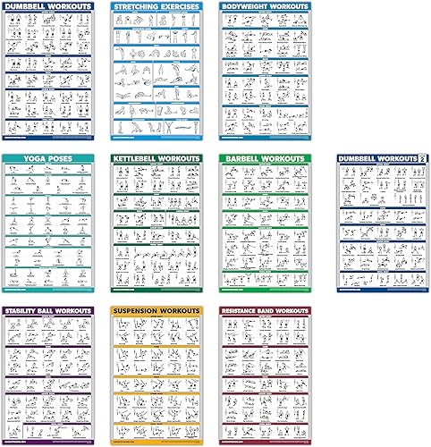 QuickFit Paquete de 10 carteles de ejercicio  mancuernas volumen 1 y 2, suspensión, pesas rusas y bandas de resistencia, estiramientos, peso
