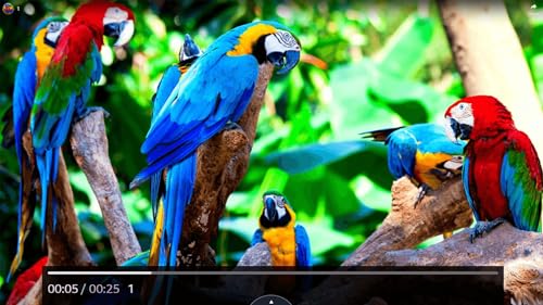 Dolby Vision 4K Screensaver - Colorful 4K with Relaxing Music Screensaver for Fire TV